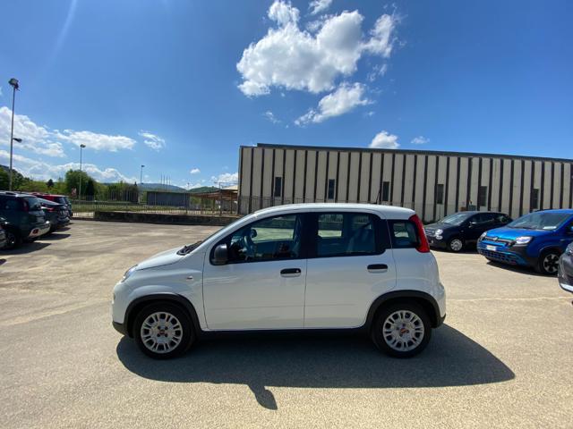 FIAT Panda usata 15