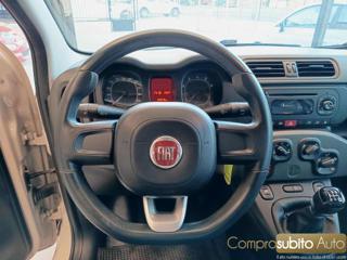 FIAT Panda usata 15