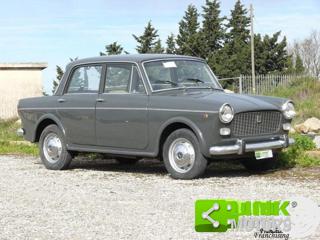FIAT 1100 usata 30
