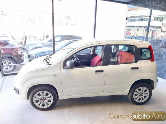 FIAT Panda usata 10