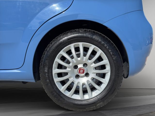 FIAT Punto usata 15