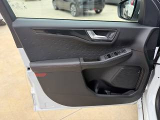 FORD Kuga usata, con Servosterzo