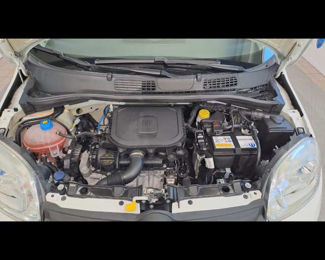 FIAT New Panda usata 21