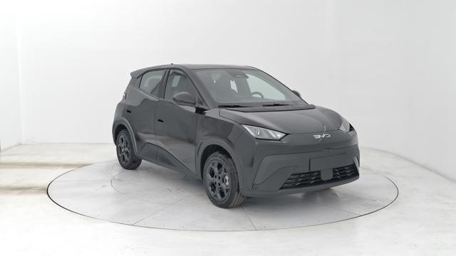 BYD Dolphin Surf usata, con Cerchi in lega