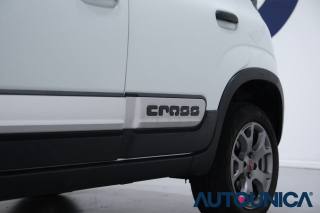FIAT Panda Cross usata 50