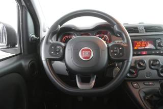 FIAT Panda usata 11