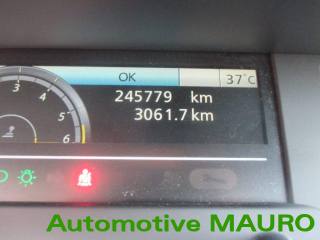 RENAULT Scenic usata, con Fendinebbia