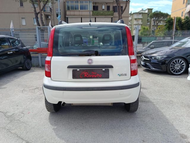 FIAT Panda usata, con Alzacristalli elettrici
