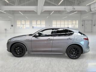 ALFA ROMEO Stelvio usata, con Airbag Passeggero