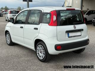 FIAT Panda usata, con Servosterzo