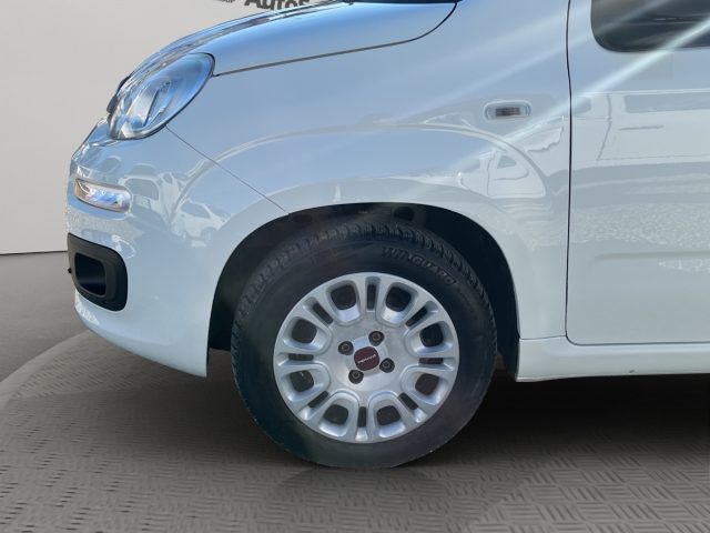 FIAT Panda usata 18