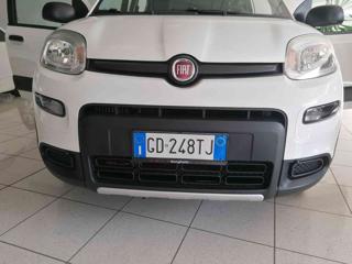 FIAT Panda usata 17