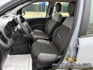 FIAT Panda usata, con Antifurto