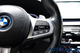 BMW 530 usata, con Vetri oscurati