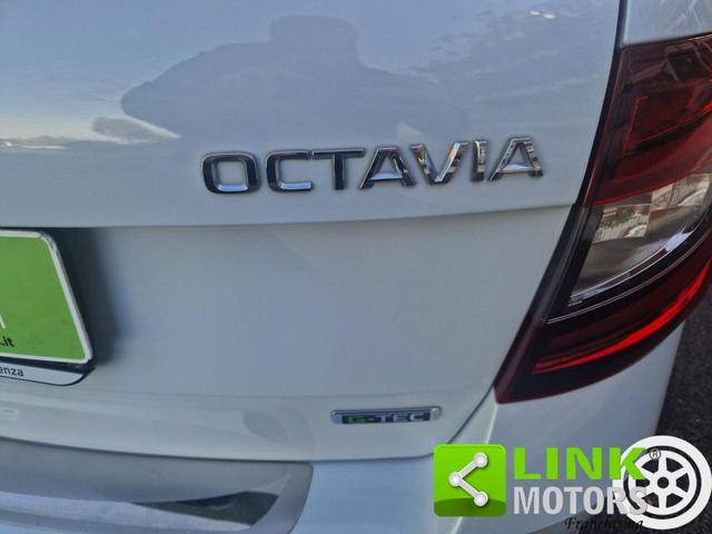 SKODA Octavia usata, con Controllo trazione