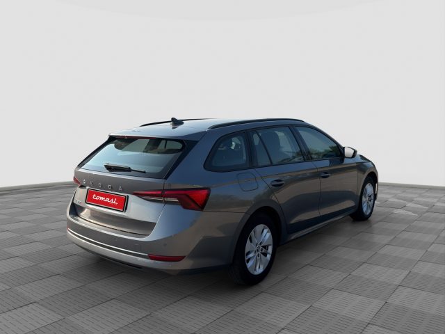 SKODA Octavia usata 4