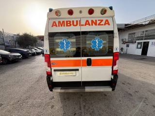 FIAT Ducato usata 36