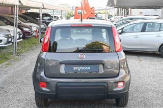 FIAT Panda usata, con Antifurto