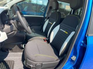 FIAT Pandina usata, con Cruise Control