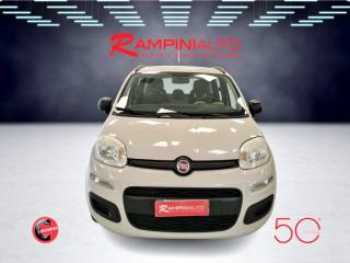 FIAT Panda usata 2