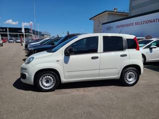 FIAT Panda usata, con USB