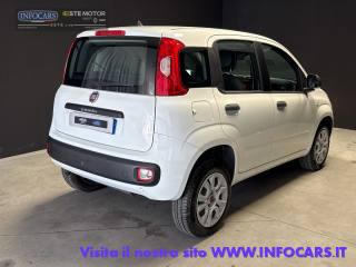 FIAT Panda usata, con Alzacristalli elettrici