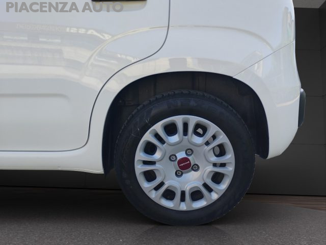 FIAT Panda usata 24