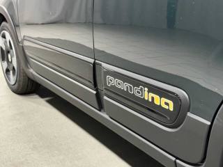 FIAT Panda usata 29