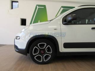 FIAT New Panda usata, con Alzacristalli elettrici
