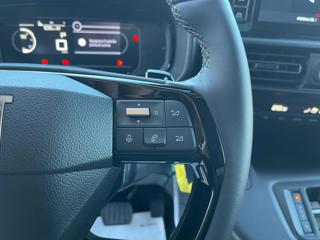 FIAT Doblo usata, con Volante in pelle