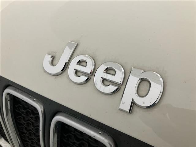 JEEP Renegade usata 23