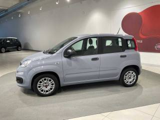 FIAT Panda usata, con ESP
