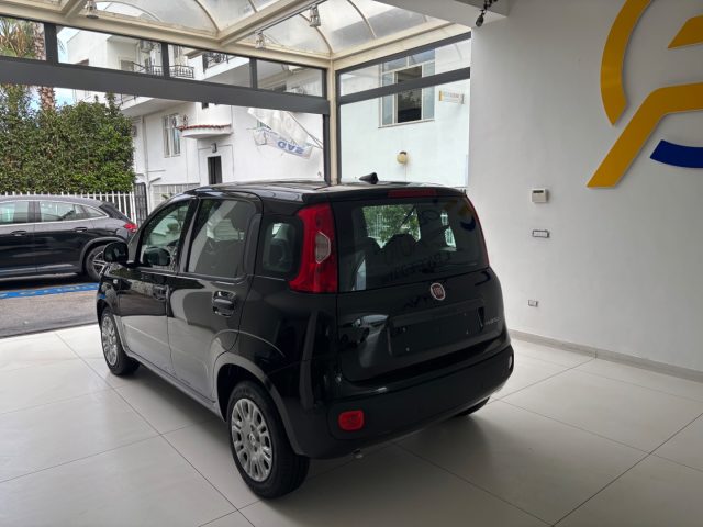 FIAT Panda usata, con Chiusura centralizzata