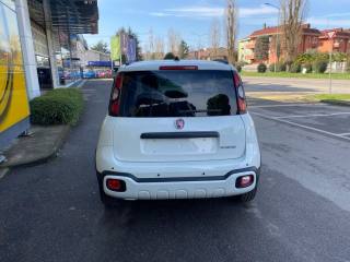 FIAT Panda Cross usata, con Alzacristalli elettrici