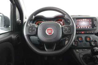 FIAT Panda Cross usata 11