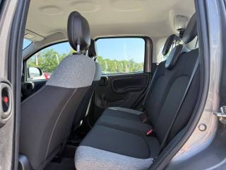 FIAT Panda usata 24