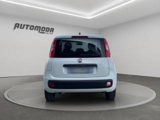 FIAT Panda usata, con Chiusura centralizzata