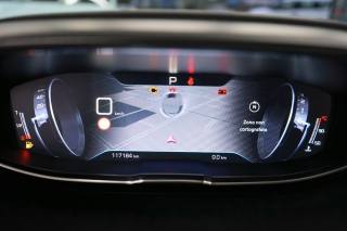 PEUGEOT 3008 usata 61