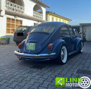 VOLKSWAGEN Maggiolino usata 8