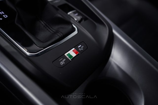 ALFA ROMEO Tonale usata 24