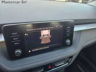 SKODA Fabia usata, con Fendinebbia