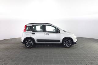FIAT Panda usata 2