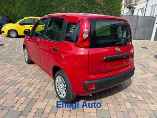 FIAT Pandina usata, con Filtro antiparticolato