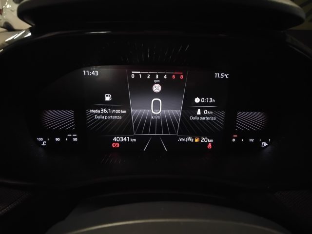 SKODA Fabia usata 29