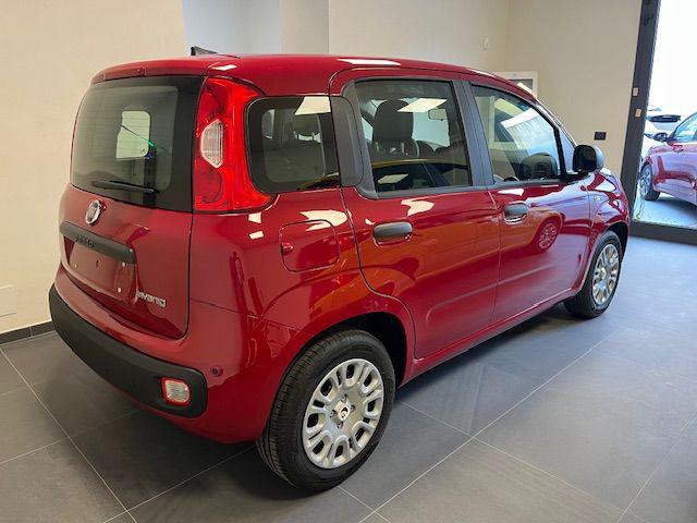 FIAT Panda usata, con Airbag Passeggero