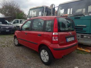 FIAT Panda usata 6