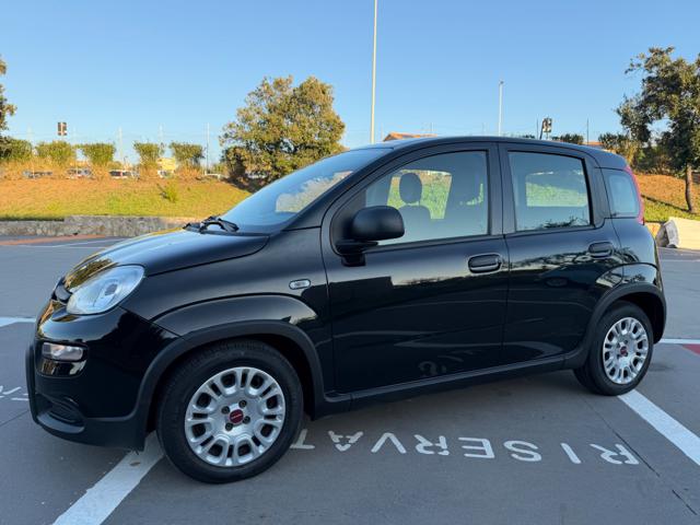 FIAT Panda usata 28