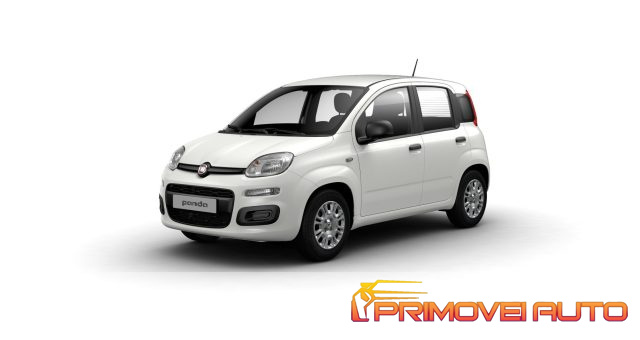 FIAT Panda usata, con Climatizzatore