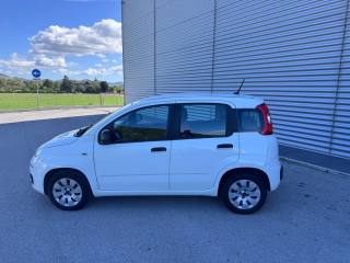 FIAT Panda usata, con Controllo trazione