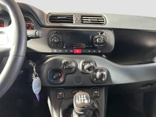FIAT Panda usata 15